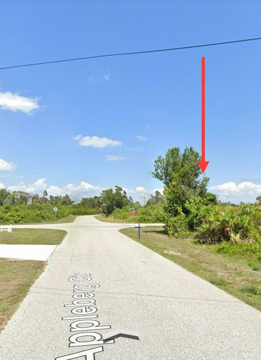 Property Photo:  12493 Appleberg Circle  FL 33981 