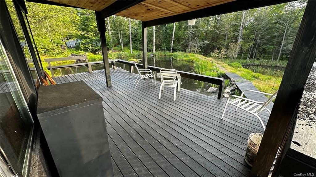 Property Photo:  281 Blind Pond Road  NY 12764 