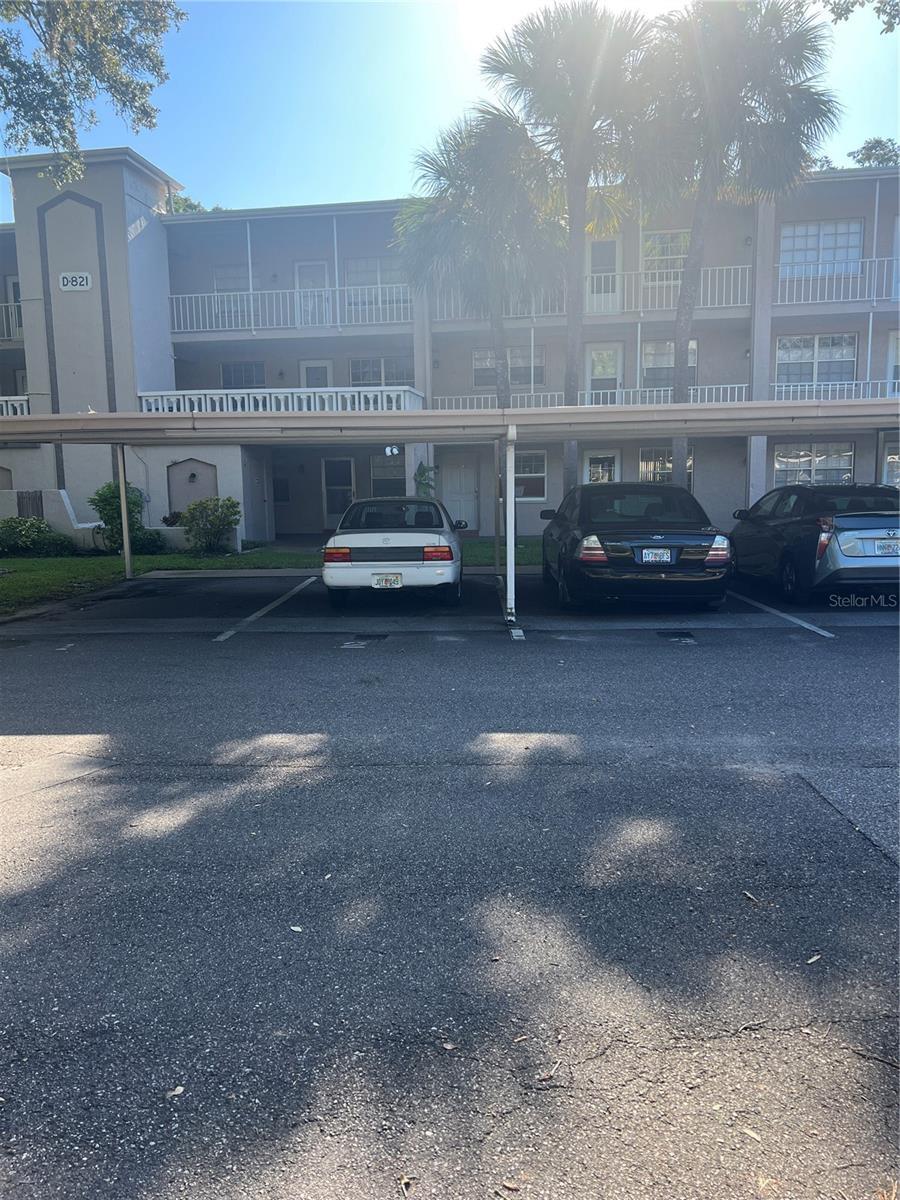 Property Photo: 821 Patricia Avenue 205 FL 34698