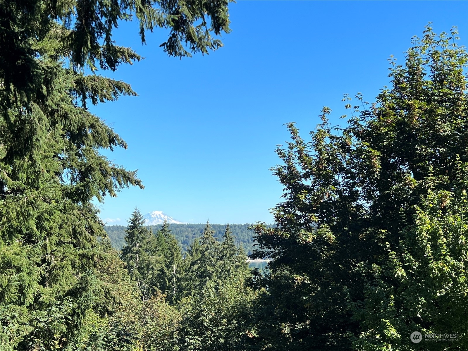 Property Photo:  111 NE Rainier Place S  WA 98528 