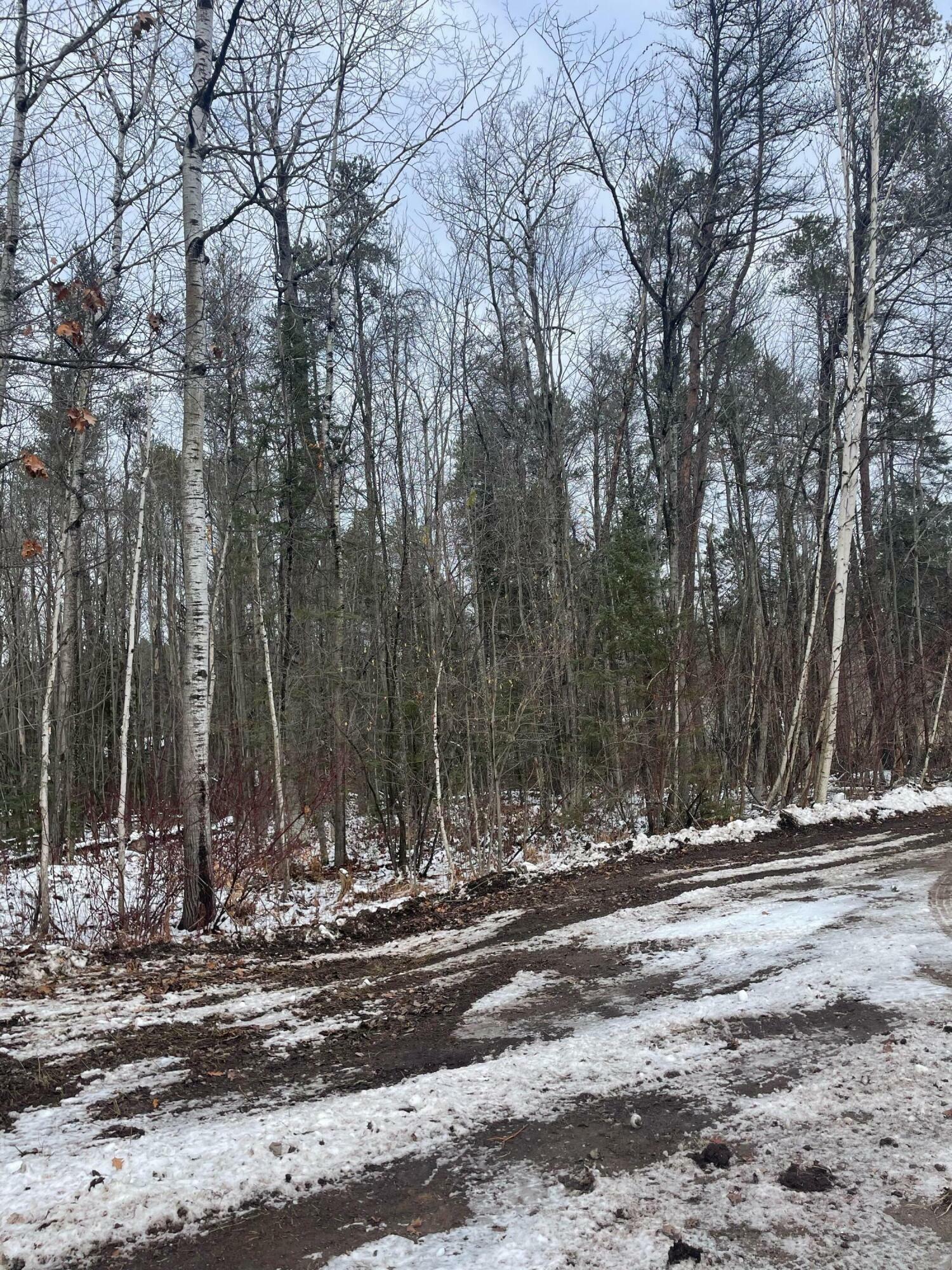 106 Wabeek Court  Alpena MI 49707 photo