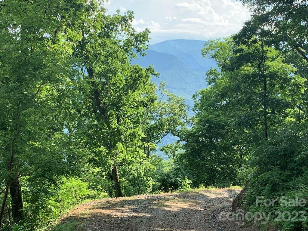 Property Photo: Lot 6 Deep Spring Road NC 28779