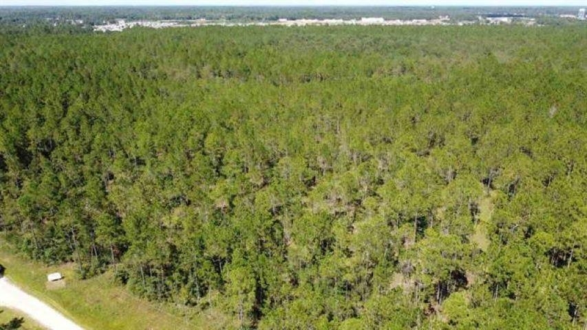 Property Photo:  Tract 3 Whispering Pines  TX 77657 