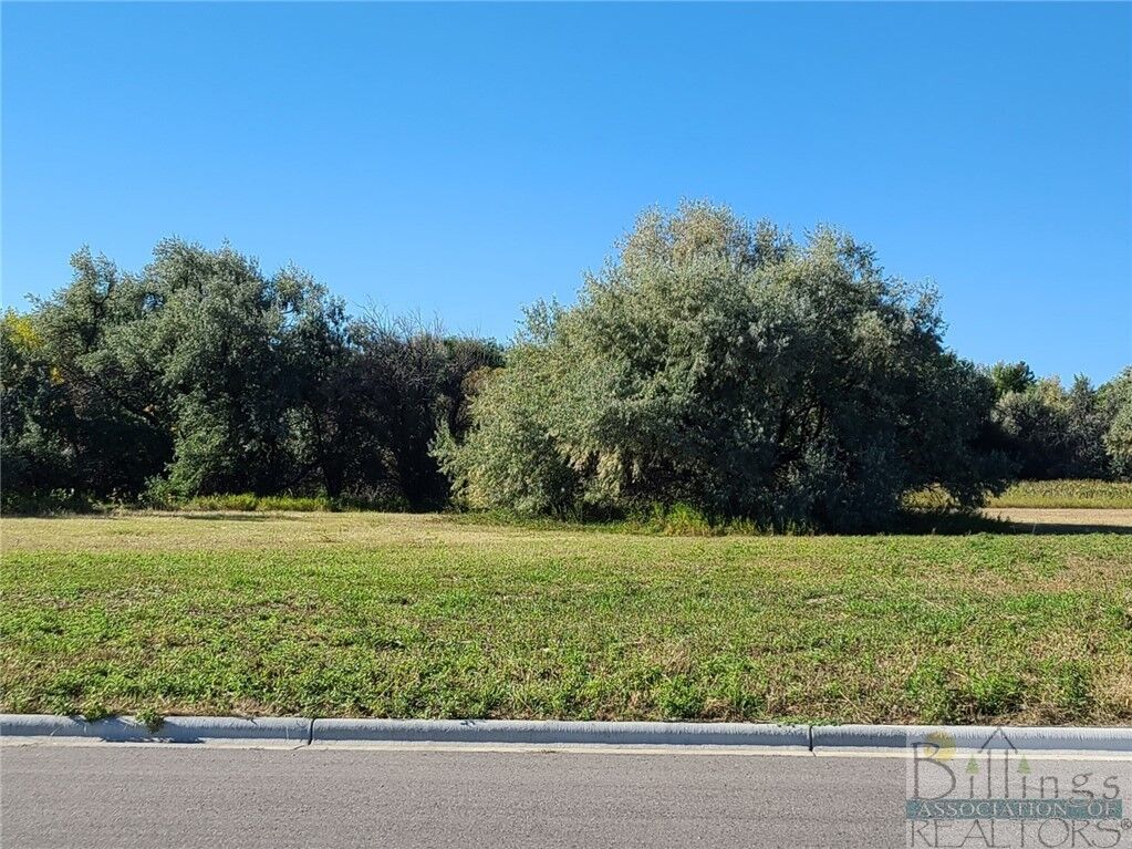 Property Photo:  Tbd Gayle Block 17, Lot 5 Drive  MT 59105 