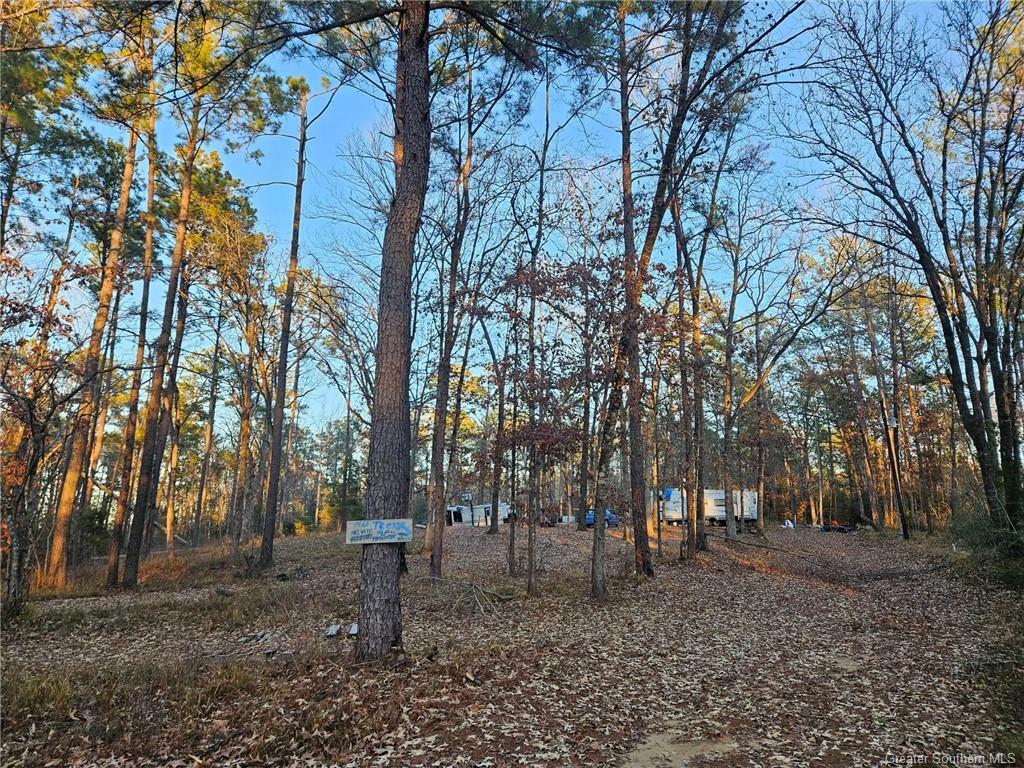 Property Photo:  170 High Bluff Lane  LA 70634 