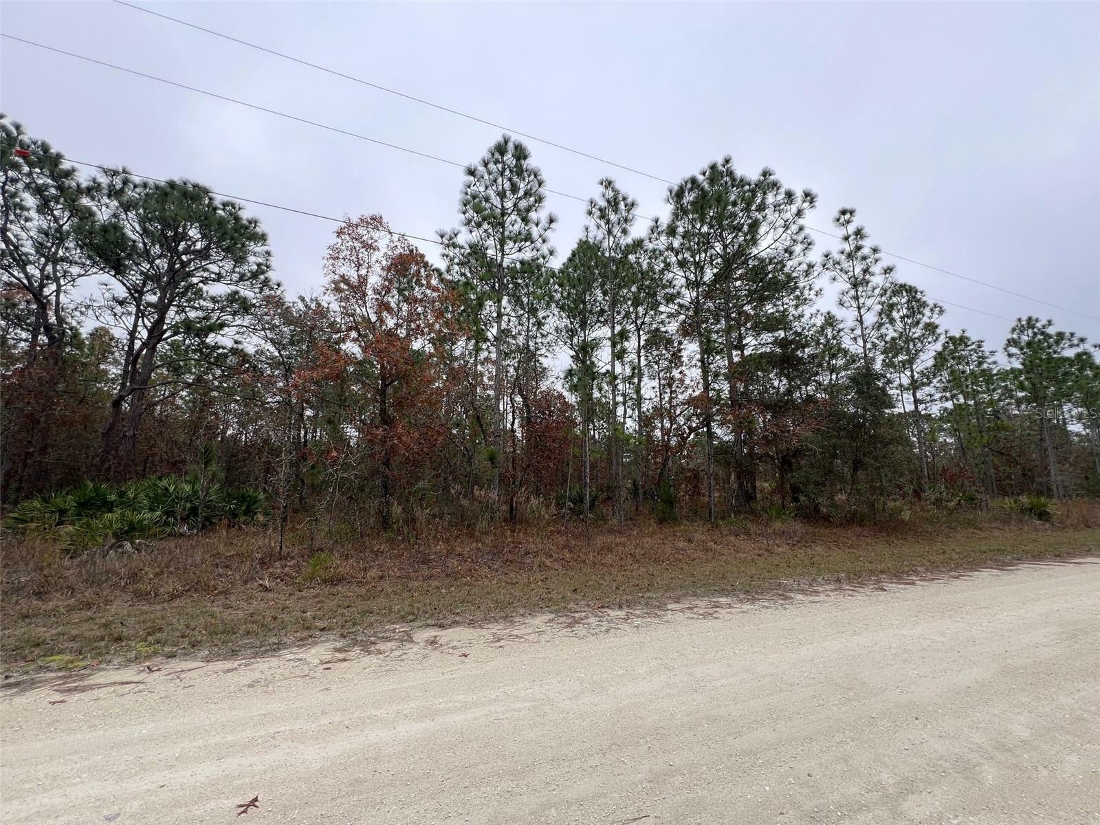 Property Photo:  0 Macassar Road  FL 34614 