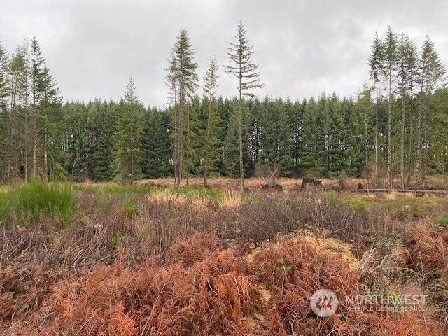 Property Photo: 1890 State Route 603 WA 98565