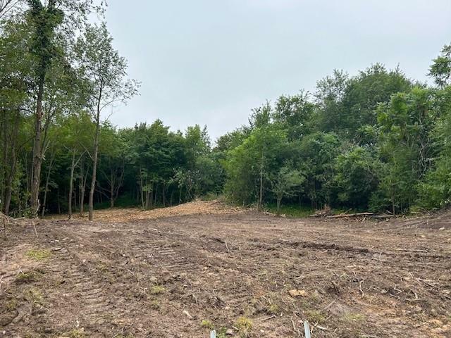 Property Photo:  Lot 10 776th Avenue  WI 54767 