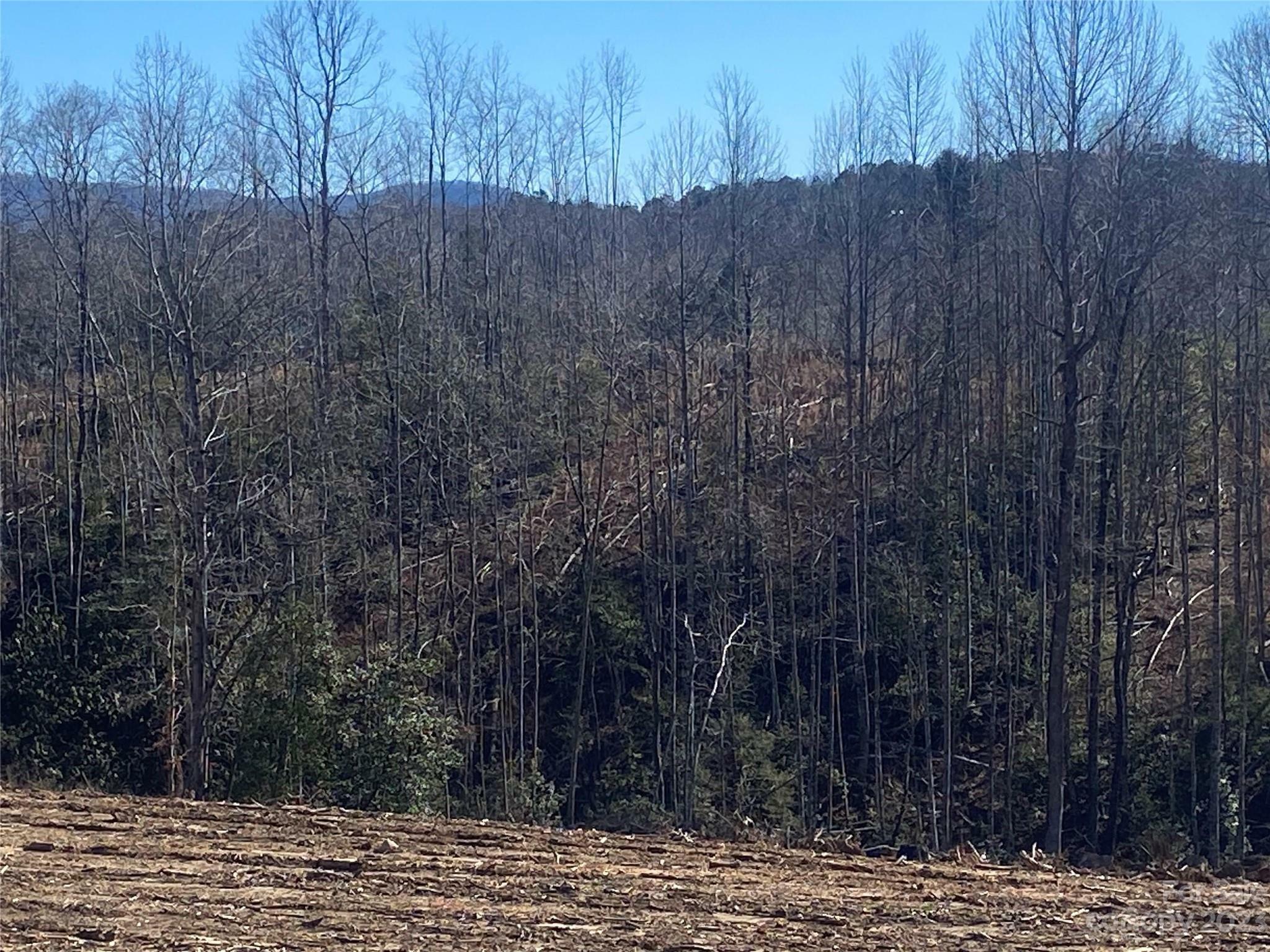 Property Photo:  0 Pinnacle Church Road Lot 8  NC 28655 