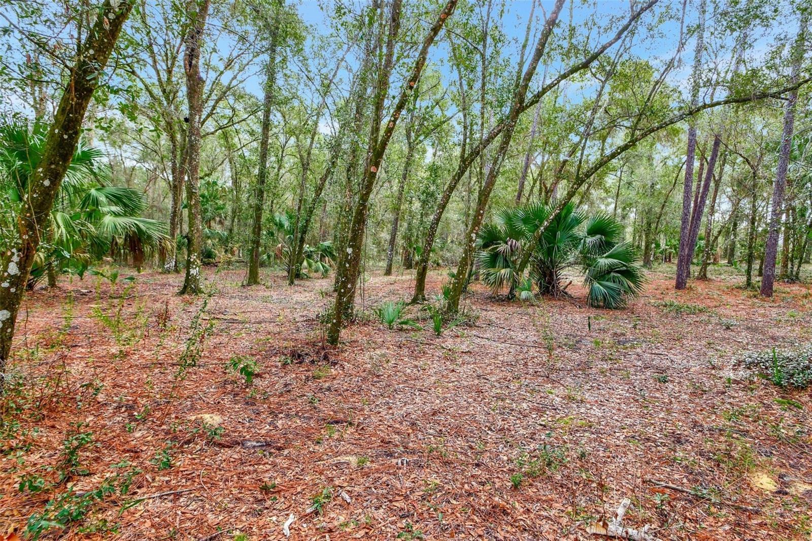 Property Photo:  1980 S Farm Road  FL 32720 