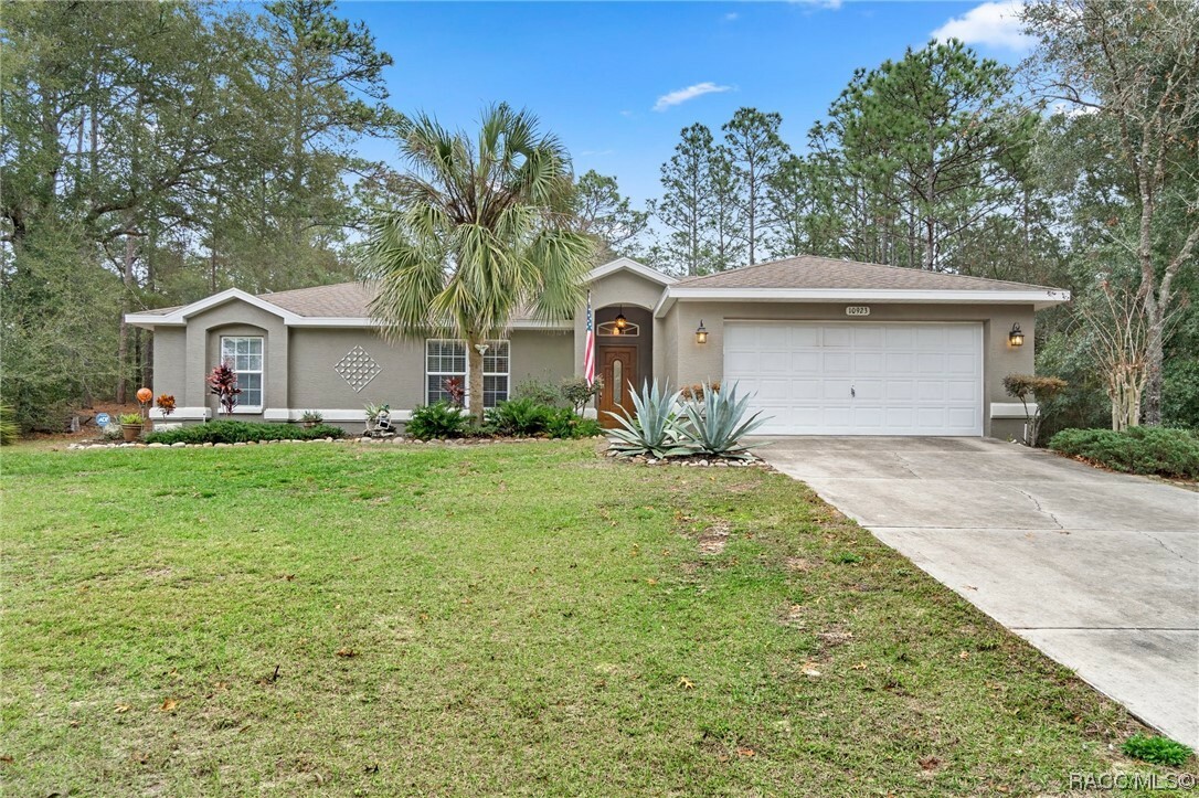 Property Photo:  10923 N Dragonis Drive  FL 34433 