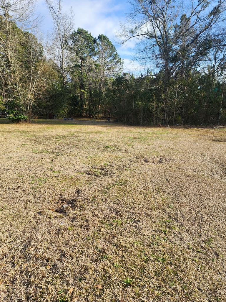 Property Photo:  E Red Bay Rd  SC 29153 