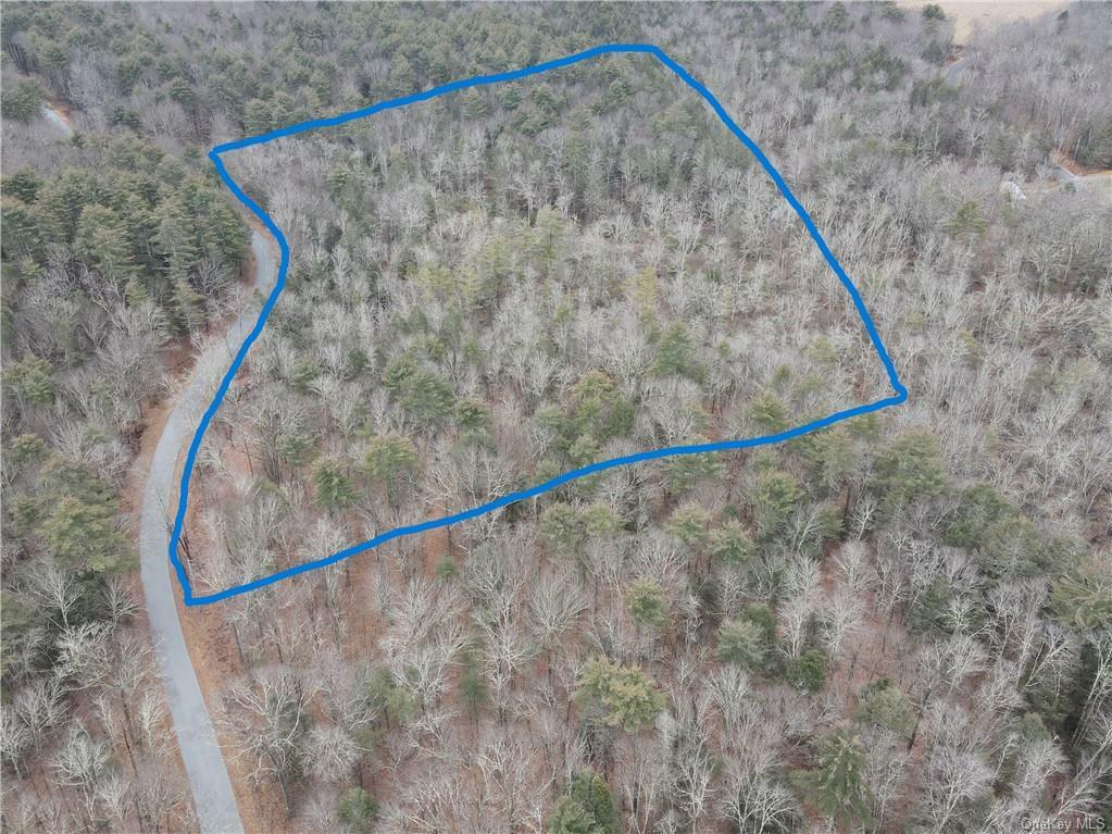 Lot 14 Tyler Road  Cochecton NY 12726 photo