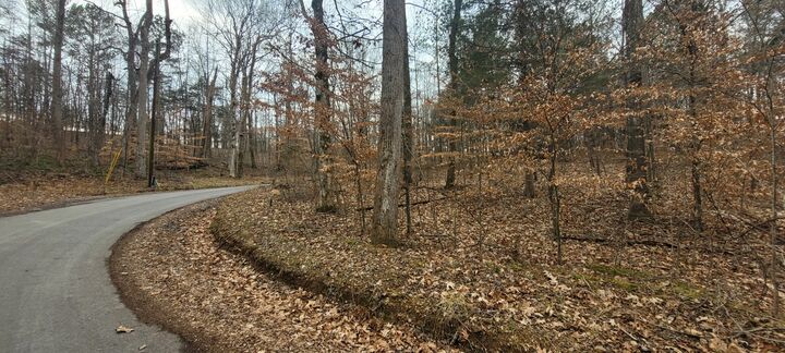 Property Photo: 1 Tobaccoport Circle TN 37028