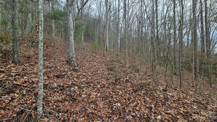 Property Photo:  Lot 14 Seay Mountain Road  NC 28785 