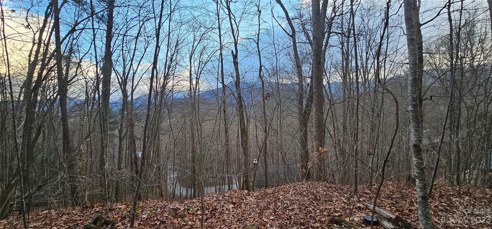 Property Photo:  4 Lots Seay Mountain Road  NC 28785 
