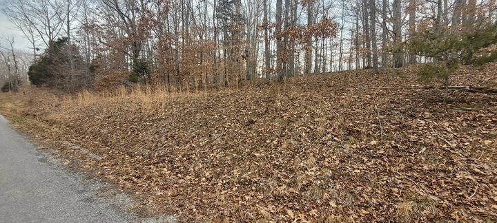 Property Photo: 1 Lakeshore Cir TN 37028