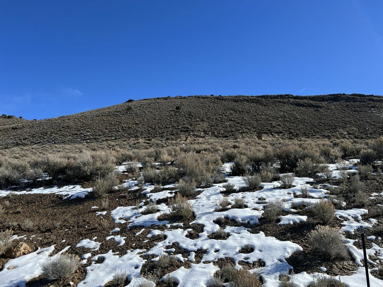 Property Photo:  Amber Way  NV 89801 