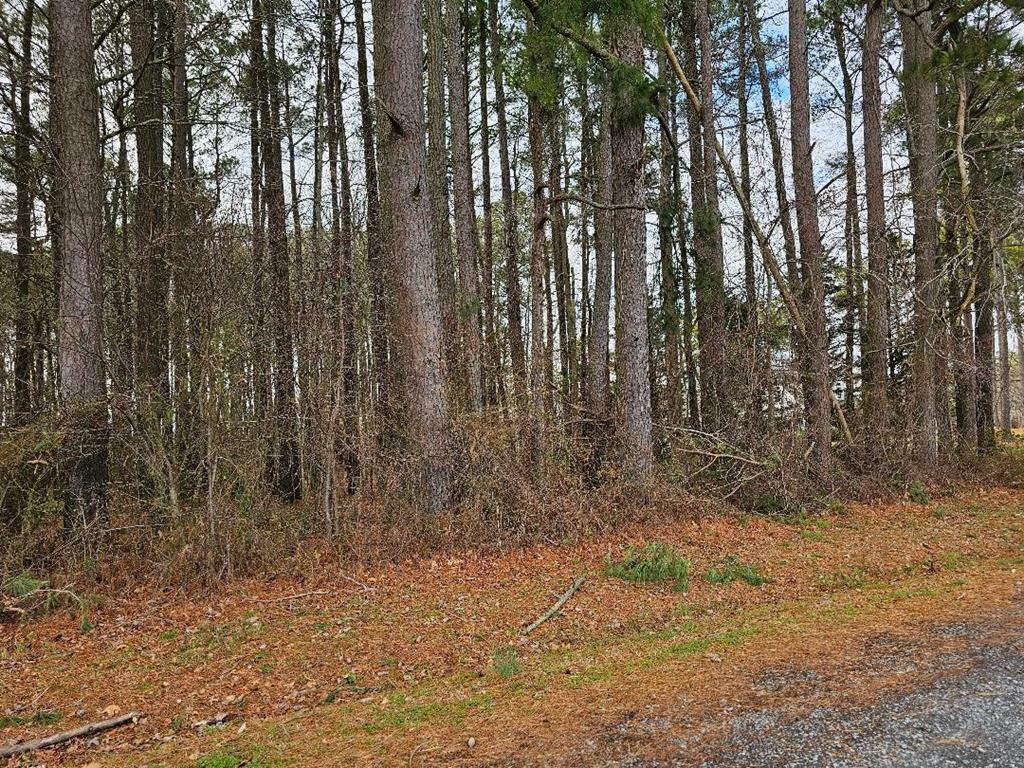 Property Photo:  Lot 2 Bull Branch Dr  VA 23417 