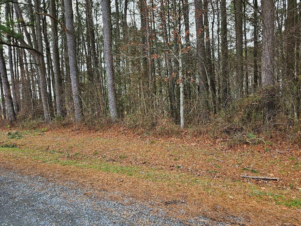 Property Photo: Lot 2 Bull Branch Dr VA 23417