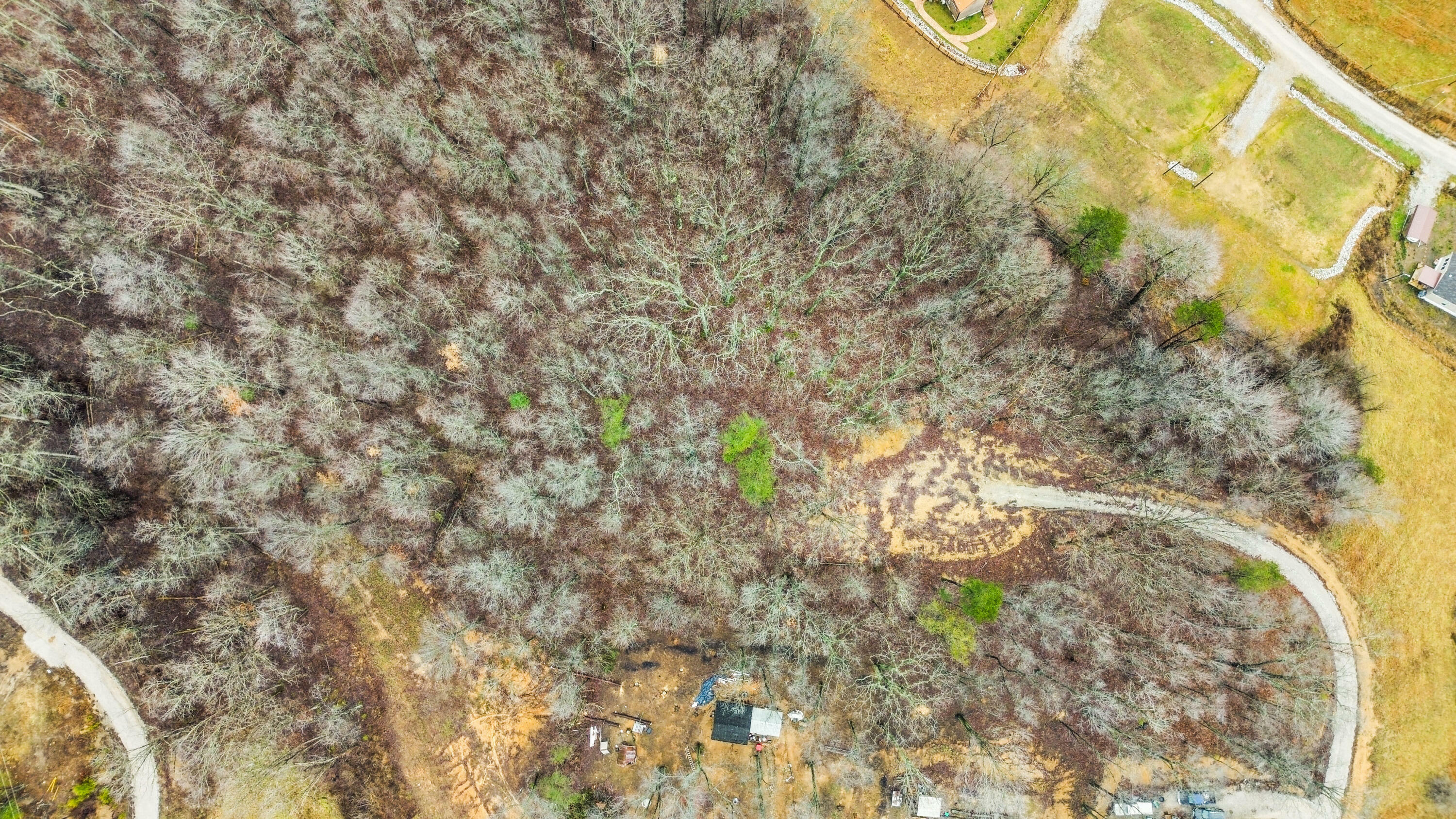 Property Photo:  Lot E Freeman Branch Road  KY 40729 