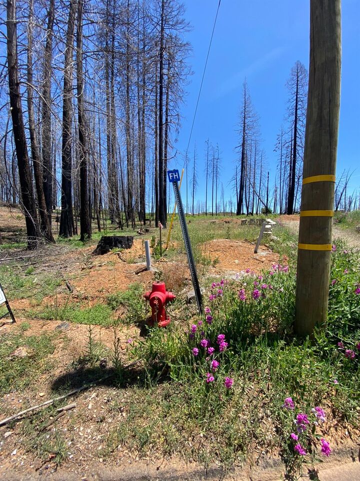 Property Photo:  5202 Wooded Glen Road  CA 95636 