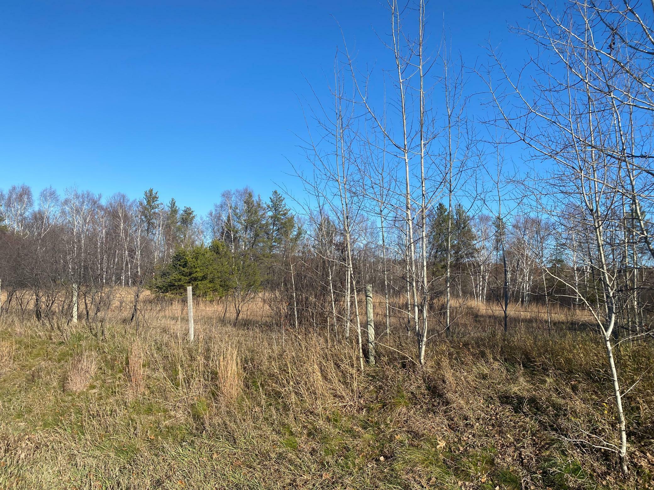 Property Photo:  Tbd 43rd Ave SW  MN 56473 