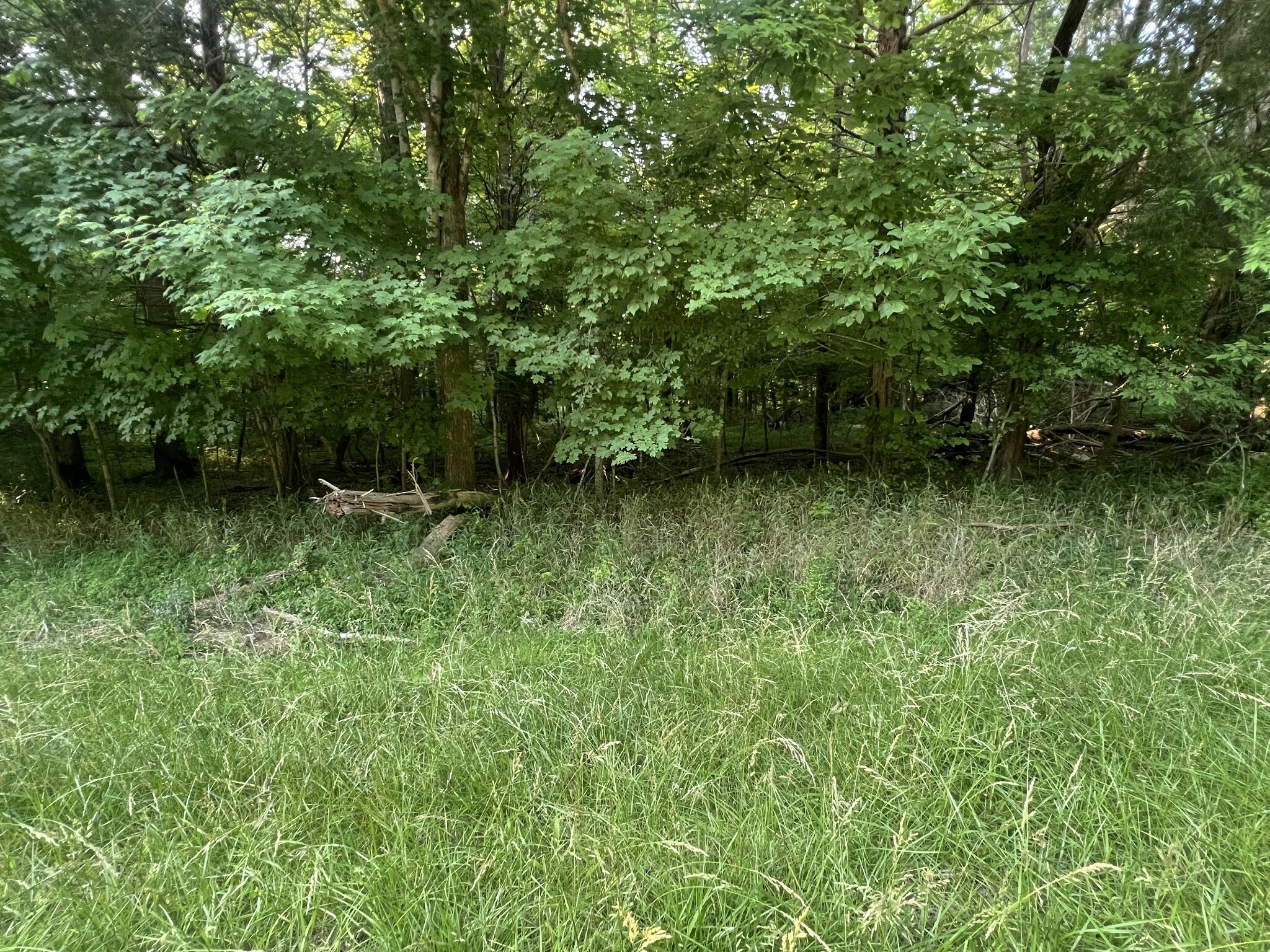 Property Photo: 7 Jarrell Ridge Rd TN 37043
