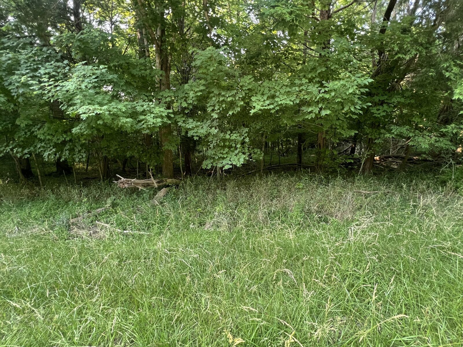 Property Photo: 7 Jarrell Ridge Rd TN 37043