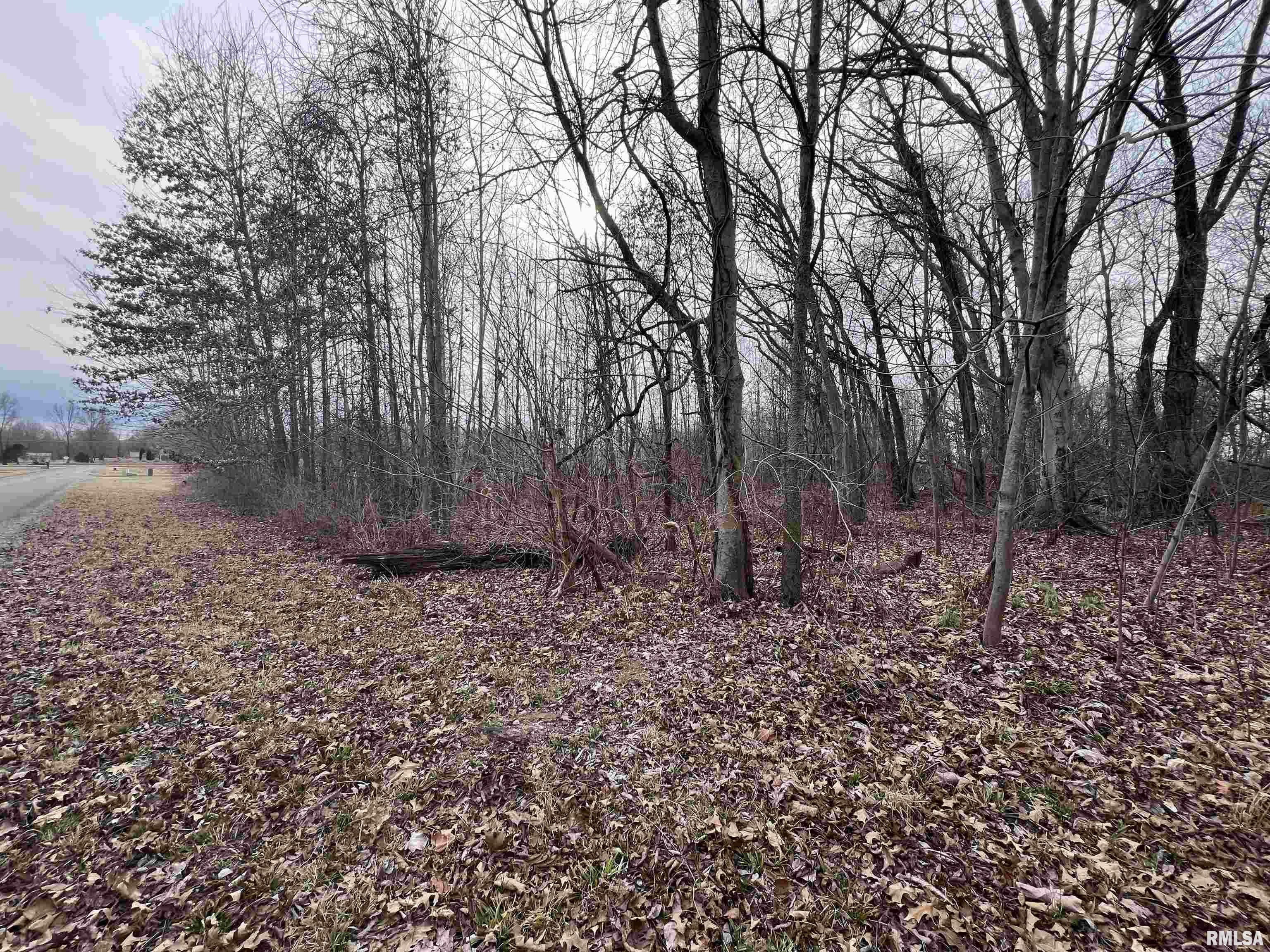 Property Photo: 11 Choctaw Drive IL 62901