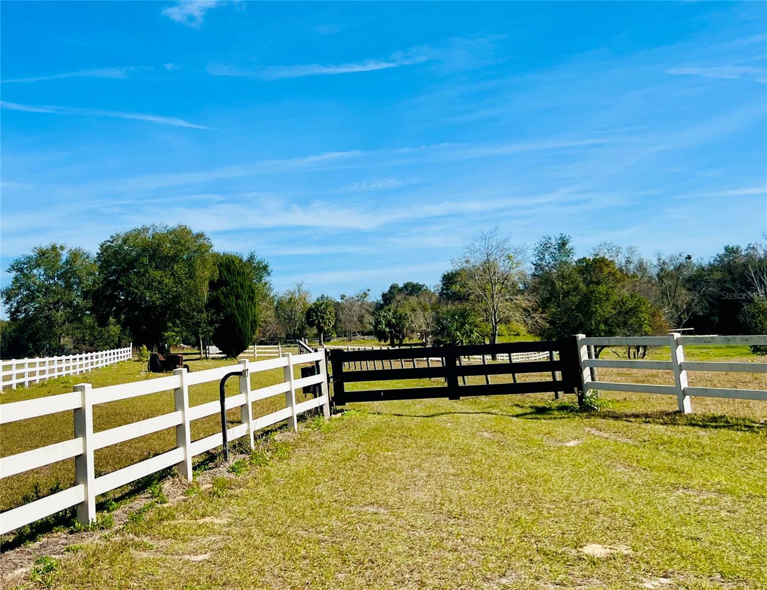 Property Photo:  19528 Sugarloaf Mountain Road  FL 34711 