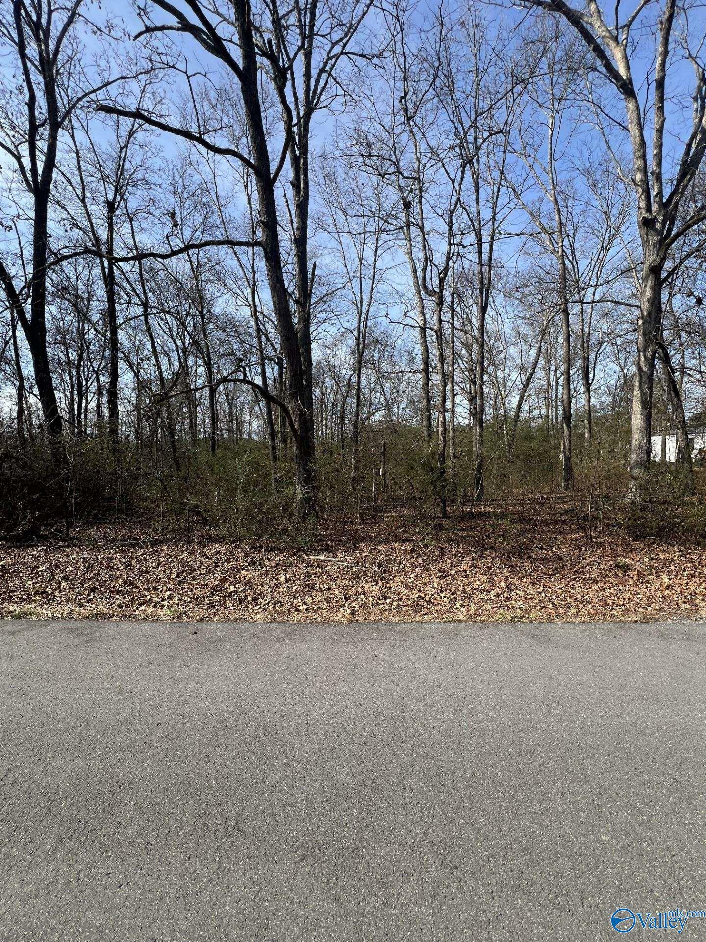 Property Photo:  Lot 9 County Road 1839  AL 35016 