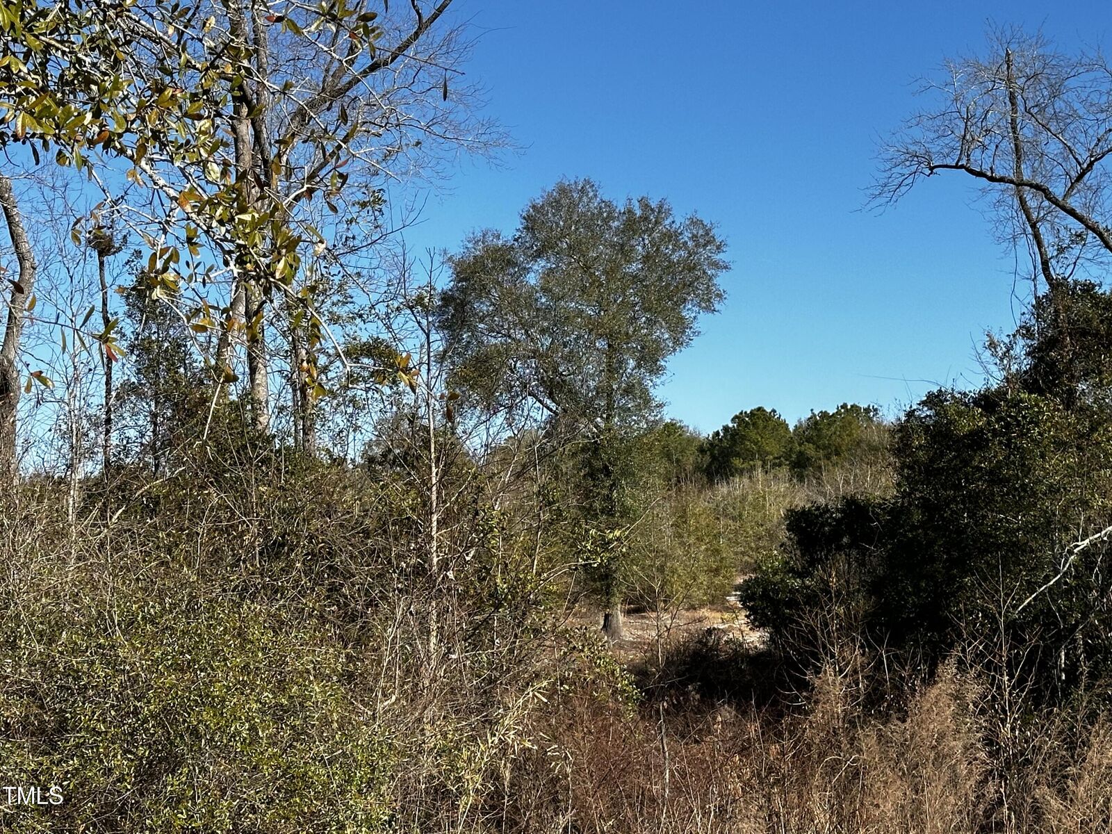 Property Photo:  17584 Garland Highway  NC 28441 