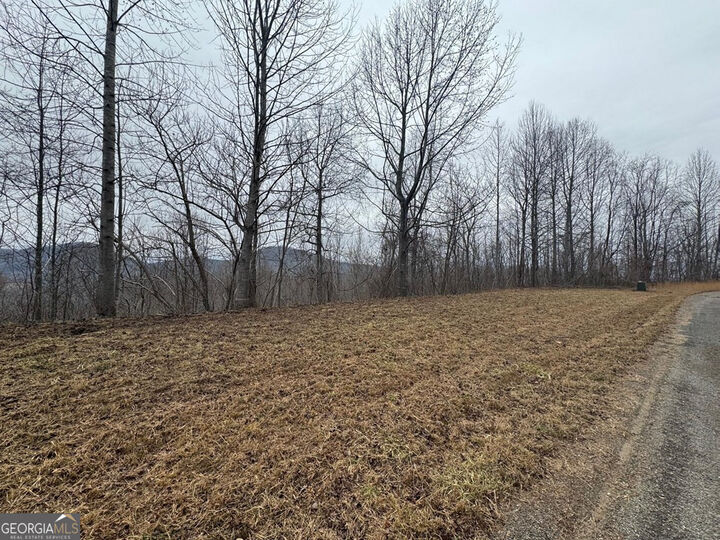 Property Photo:  Lot 10 Chatuge Manor Drive  GA 30582 