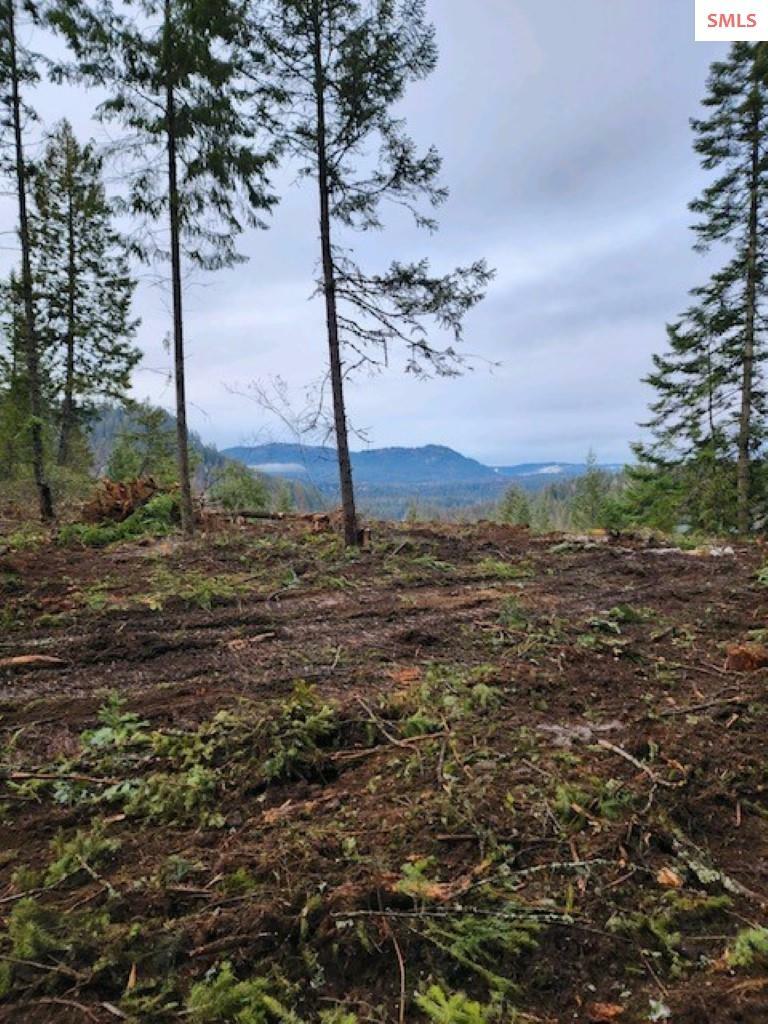 Property Photo:  Nna Lot 4 Two Rivers  ID 83856 