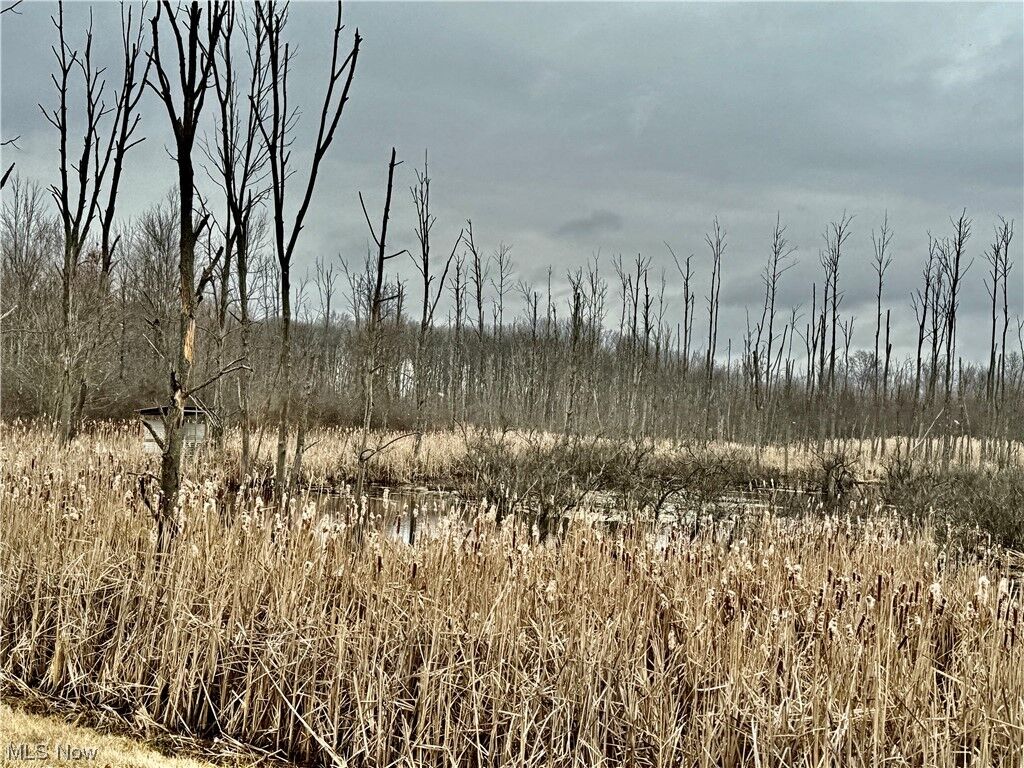 Property Photo:  State Route 534  OH 44444 