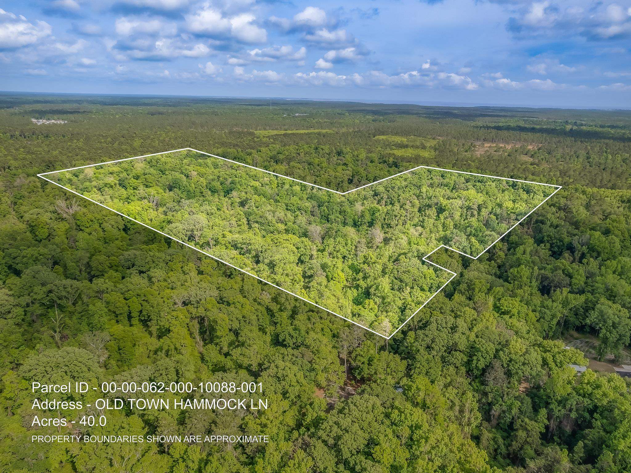 Property Photo:  40 Ac 0 Old Town Hammock Lane  FL 32327 