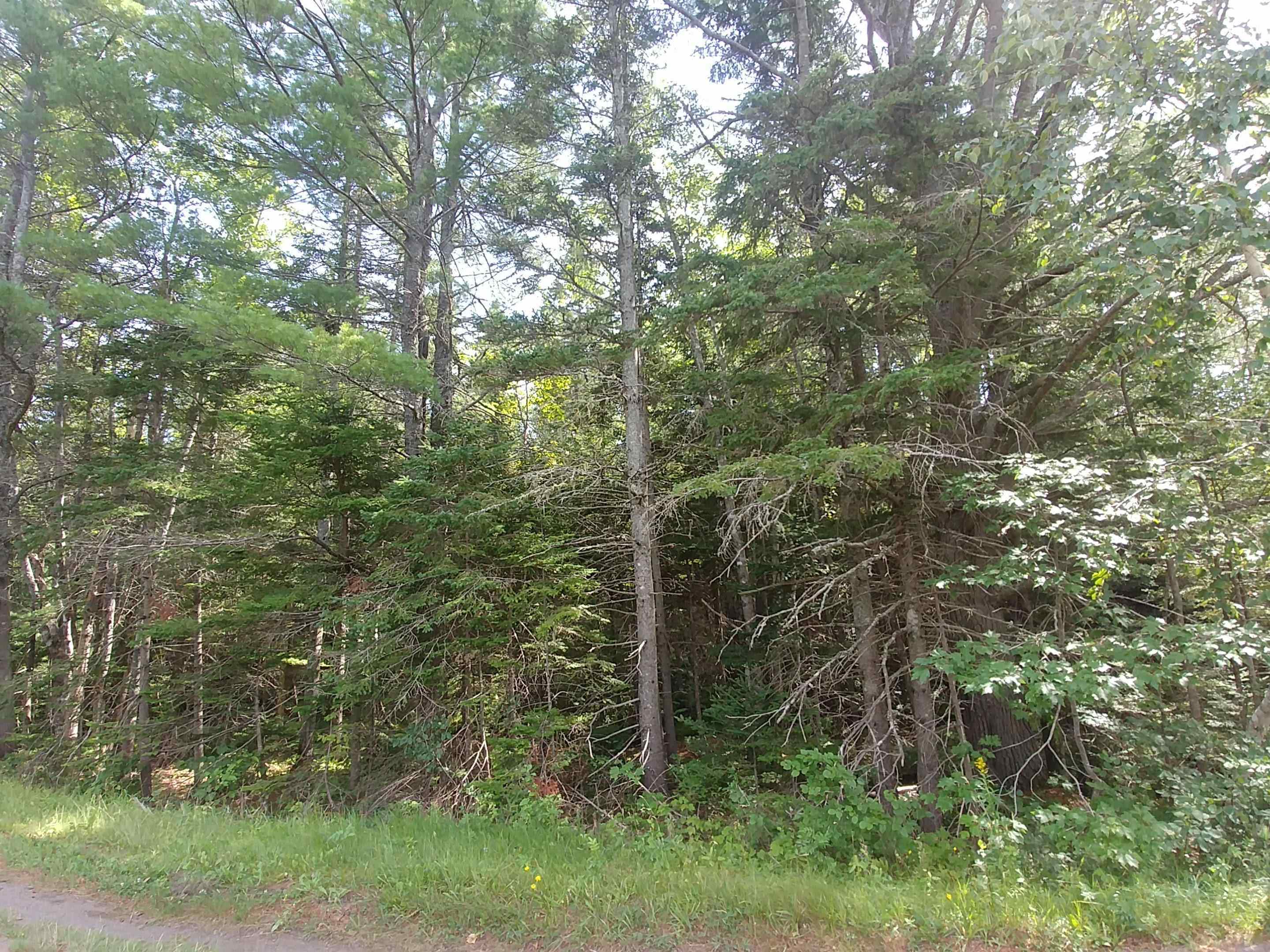 Property Photo:  Acreage Greek River Road  PE C0A 1W0 