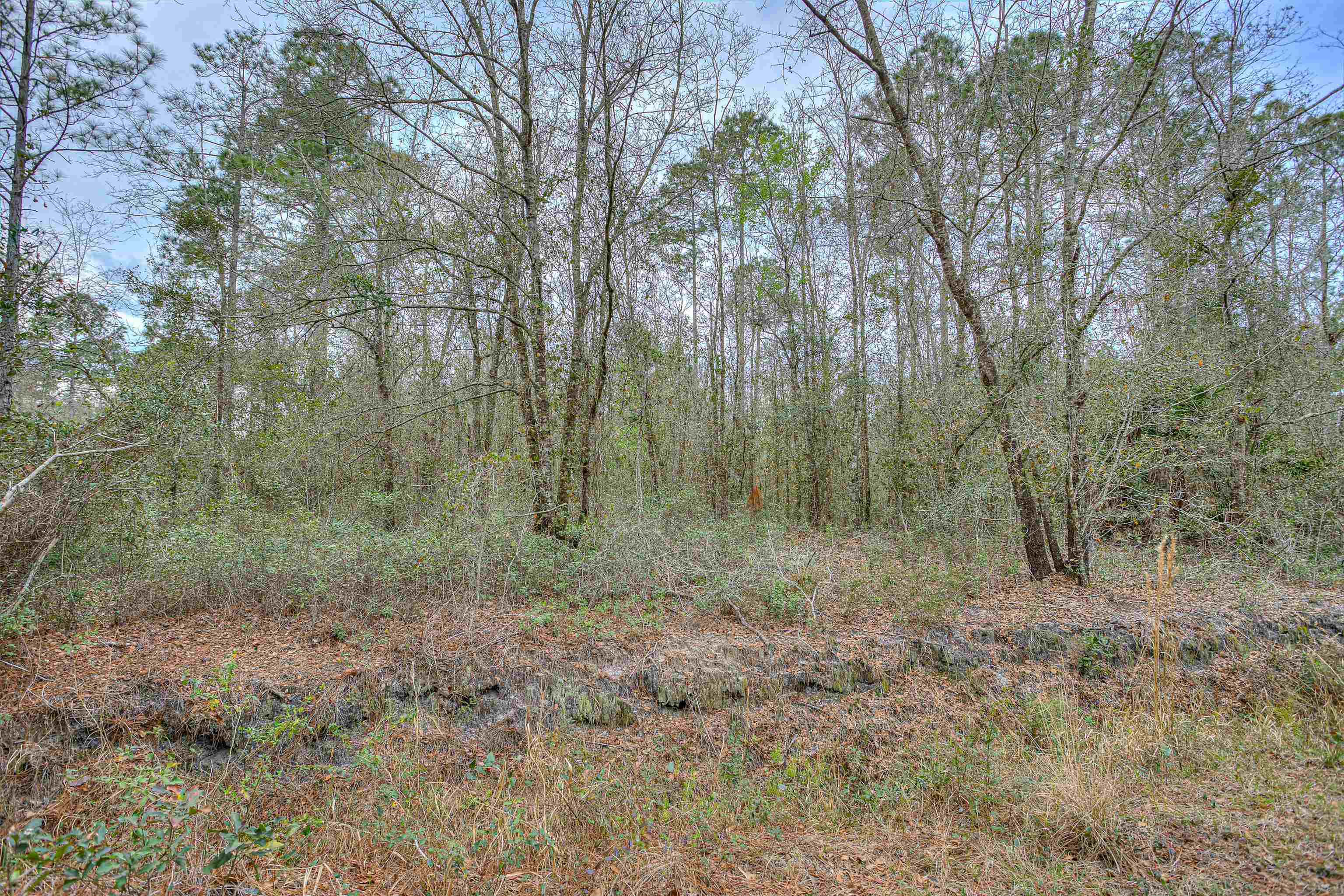 Property Photo:  10175 Beckenger Ave  FL 32145 