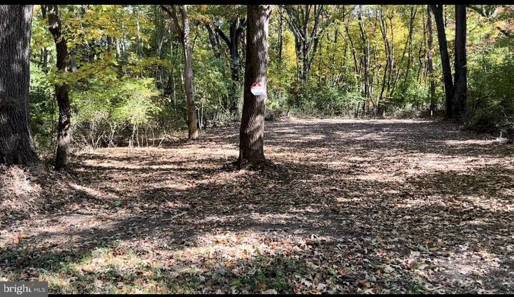 Property Photo:  Elm Road  MD 21620 