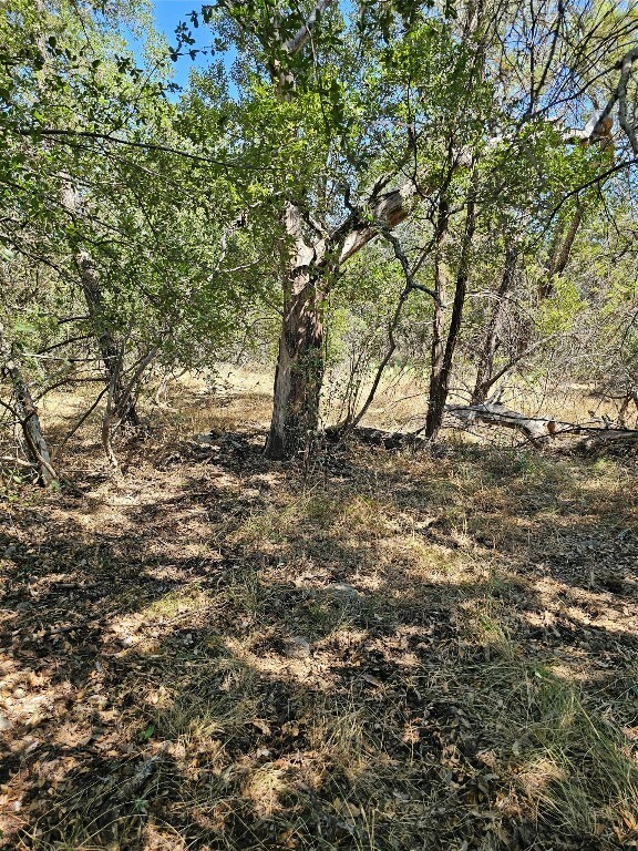 Property Photo:  Tbd Lilly Langtry  TX 78657 