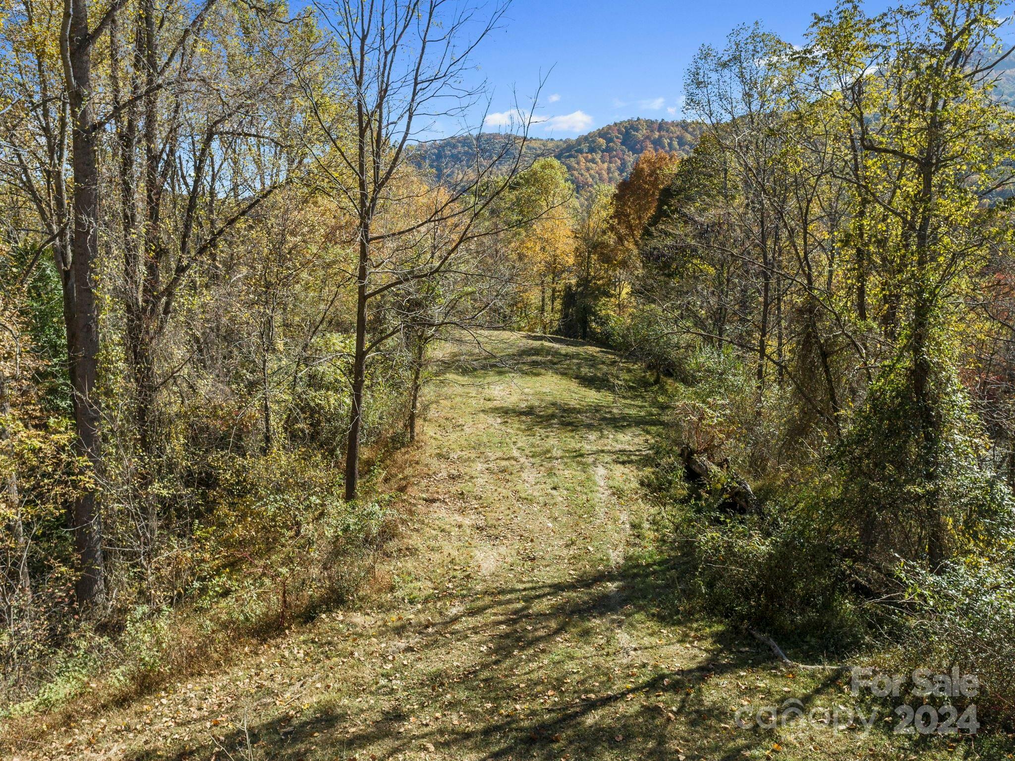 Property Photo:  Tbd Fresh Water Road  NC 28748 