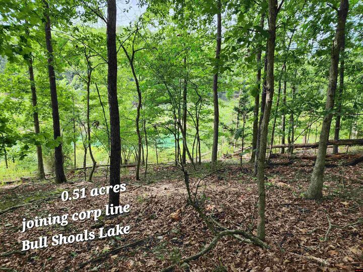Lot 11 Cardinal Terrace  Bull Shoals AR 72619 photo