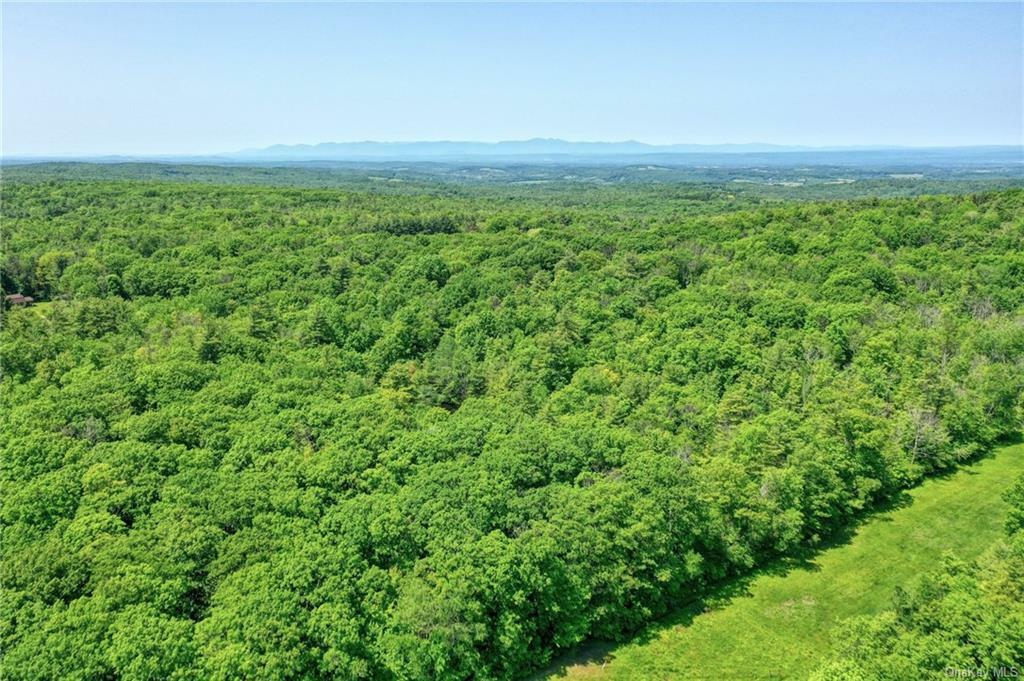 Property Photo:  Wadsworth Hill Road  NY 12195 