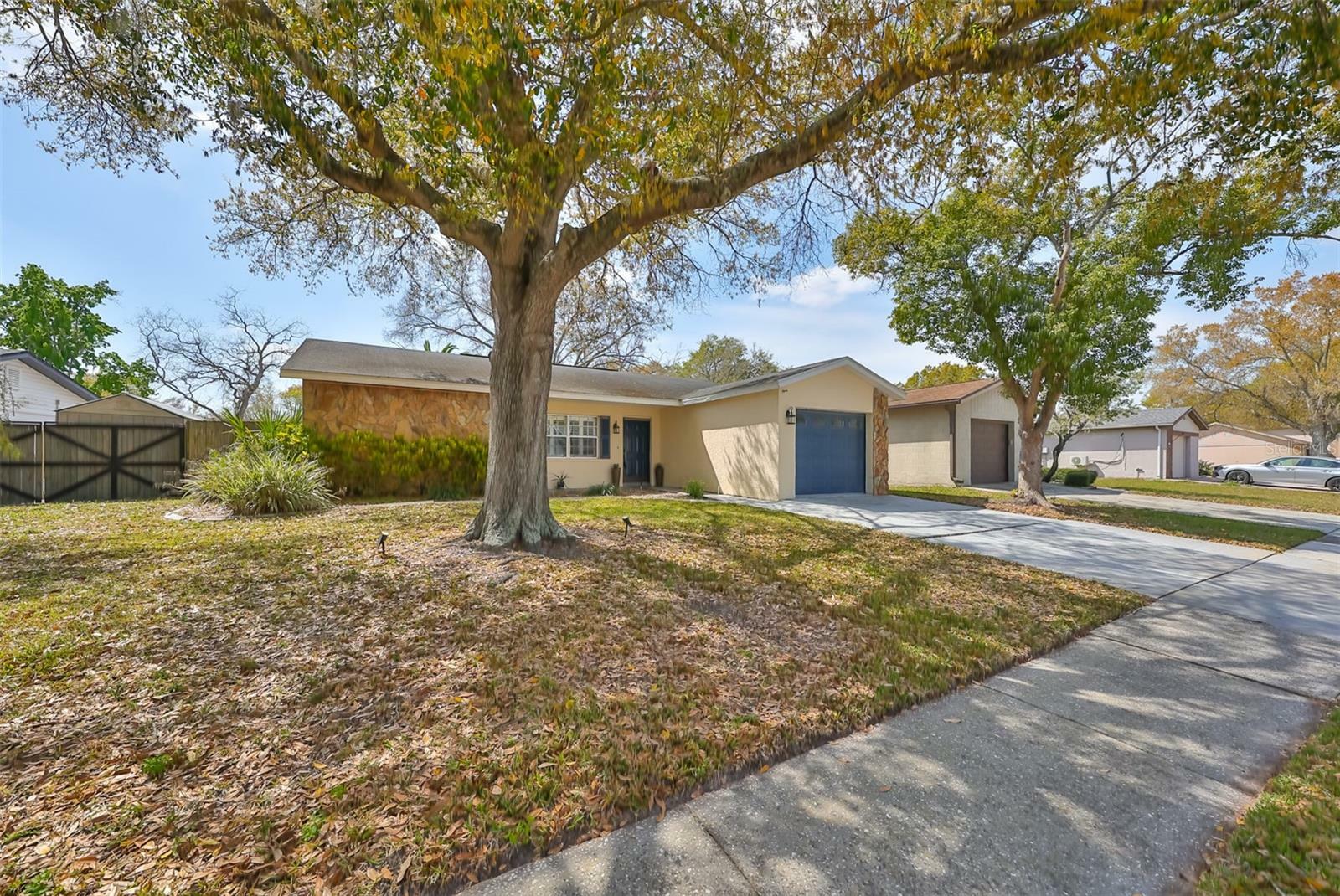 Property Photo:  11505 Smokethorn Drive  FL 33579 