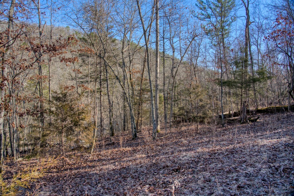 Property Photo:  Valley View Drive  AR 72631 