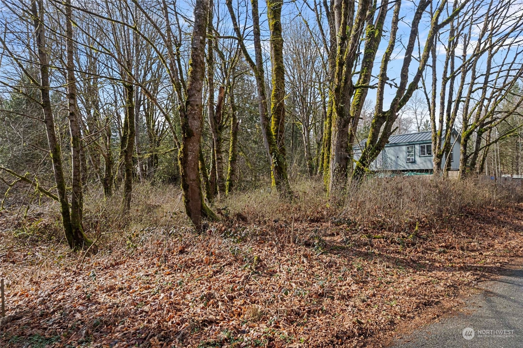 Property Photo:  0 Cape Horn Drive  WA 98237 