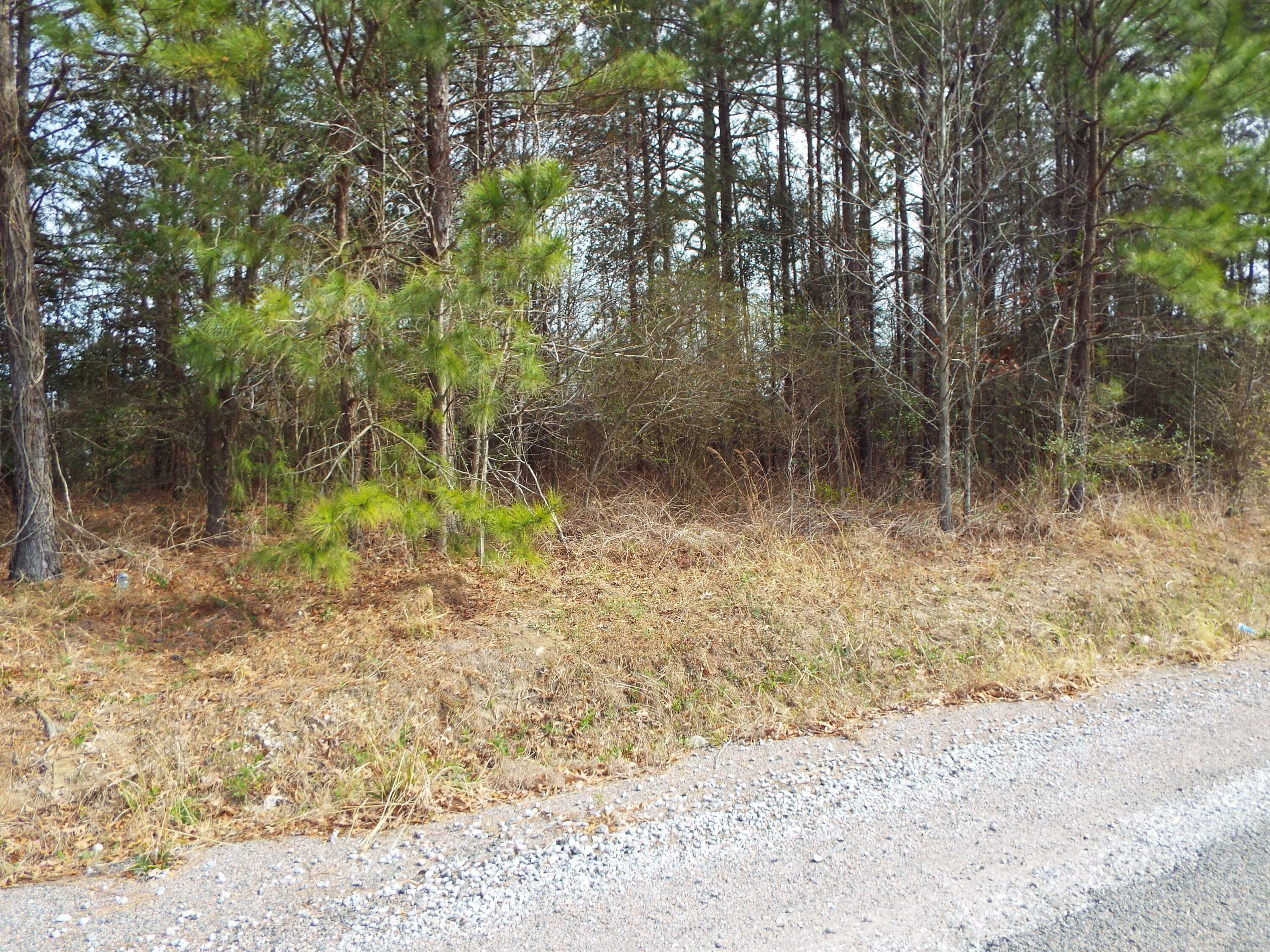 Property Photo:  0 Dennis Drive Lot 27  SC 29445 