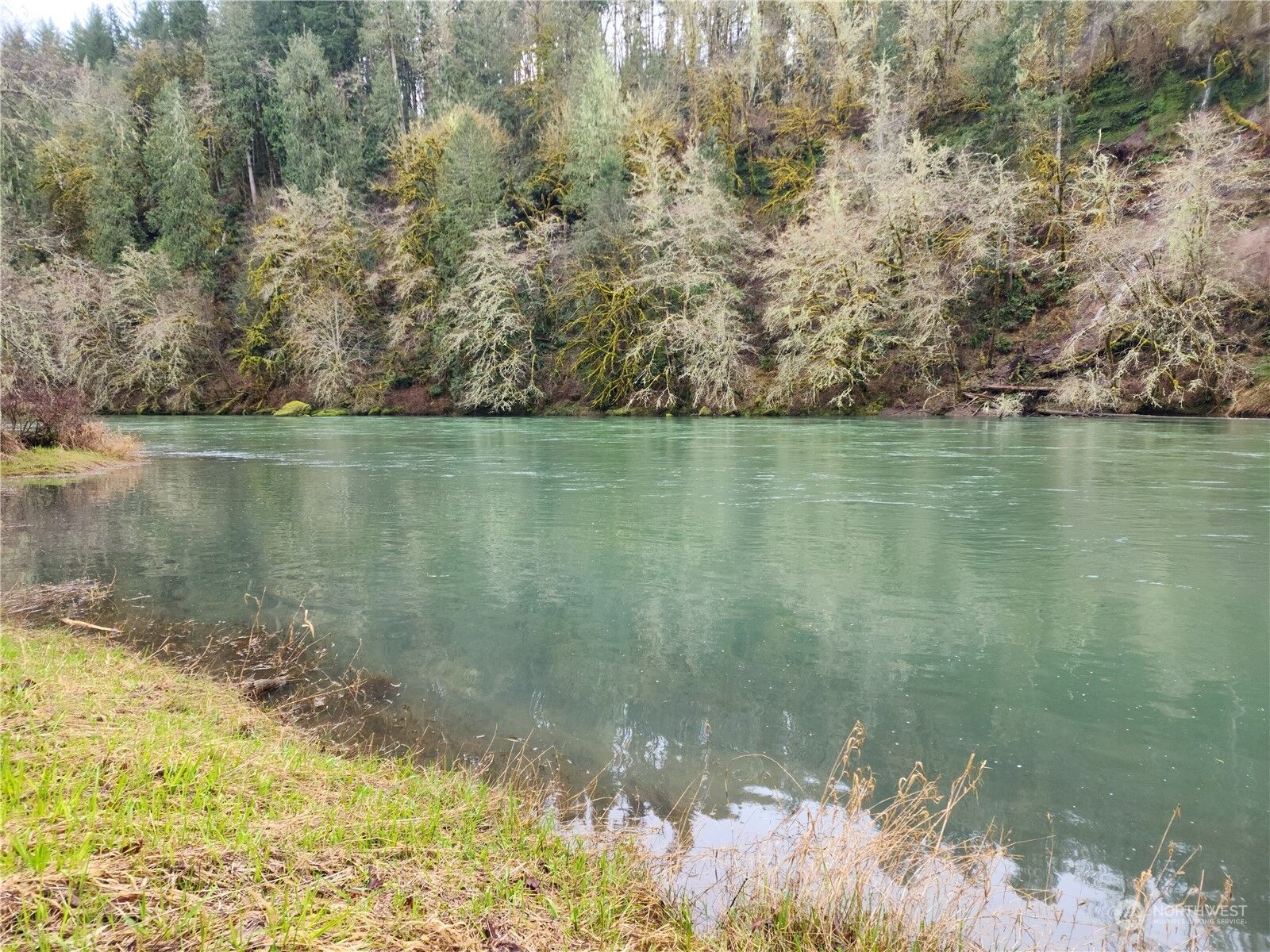 Property Photo: 170 Raydel WA 98564