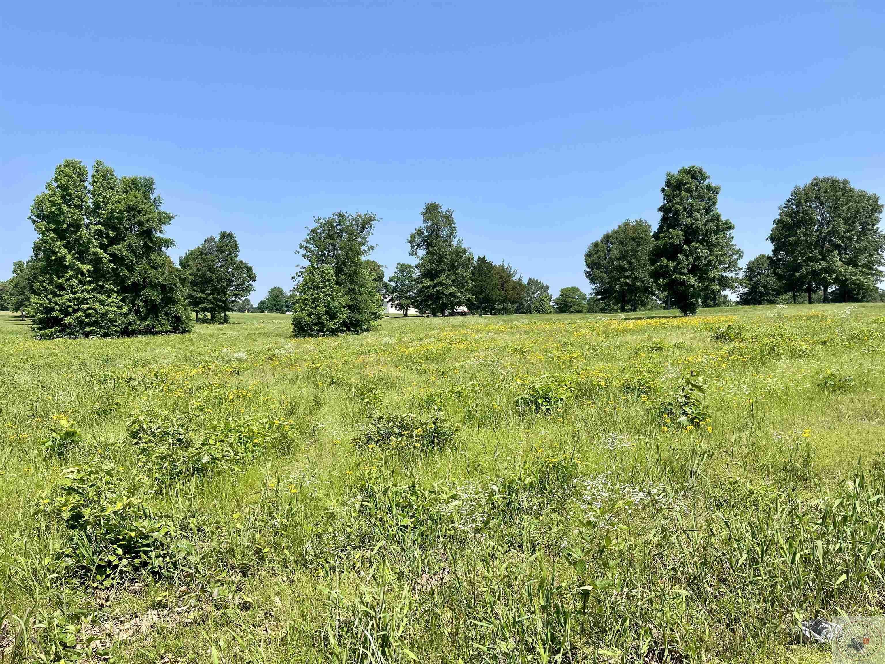 Property Photo:  560 Miller County 474  AR 71854 